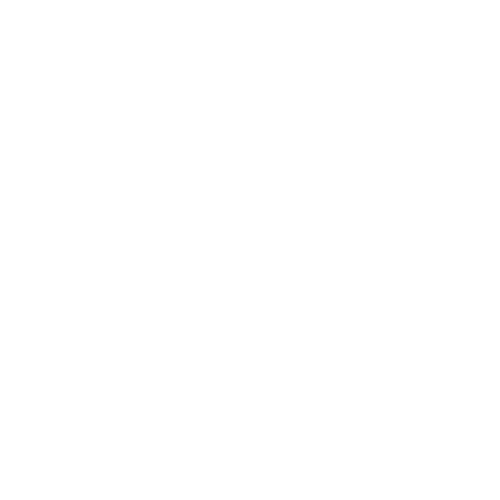 Contrôle Technique Boujon